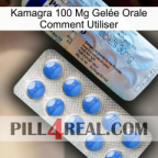 Kamagra 100 Mg Gelée Orale Comment Utiliser 39